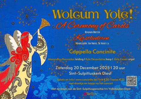 affiche kerstconcert